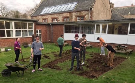 WS YP digging vg cropped -websize